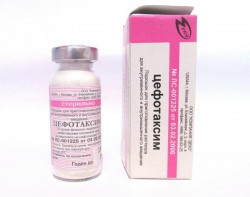 Цефазолин пор. д/р-ра для в/в и в/м введ. 1 г 1 шт.